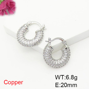 Fashion Copper Earrings  F6E404818bbov-L017