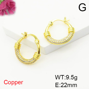 Fashion Copper Earrings  F6E404826vbnb-L017