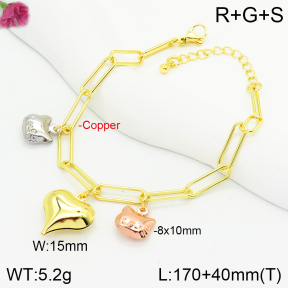 Fashion Copper Bracelets  TB2000485bbov-J123