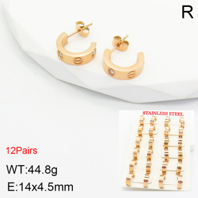 SS Earrings  TE2000293bokb-499