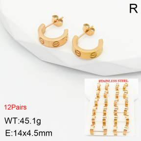 SS Earrings  TE2000296bnob-499