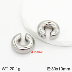 Stainless Steel Earrings  2E2002799vbnl-475