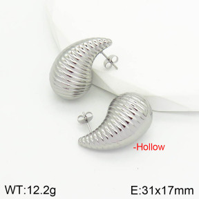 Stainless Steel Earrings  2E2002801bbml-475