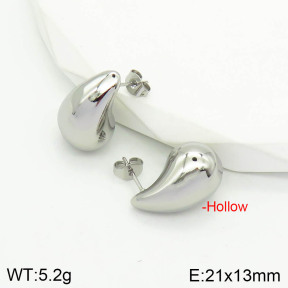 Stainless Steel Earrings  2E2002808bbml-475