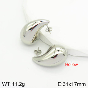 Stainless Steel Earrings  2E2002809bbml-475