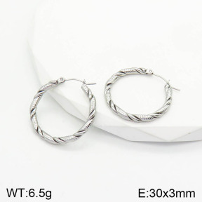 Stainless Steel Earrings  2E2002815aaij-740