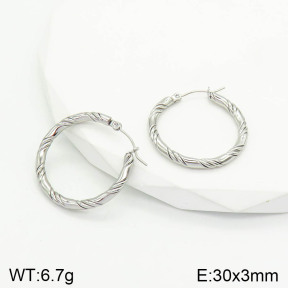 Stainless Steel Earrings  2E2002816aaij-740