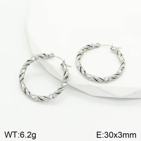 Stainless Steel Earrings  2E2002817vaia-740