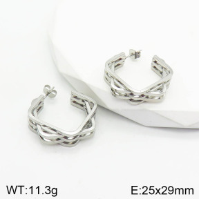 Stainless Steel Earrings  2E2002818aaio-740