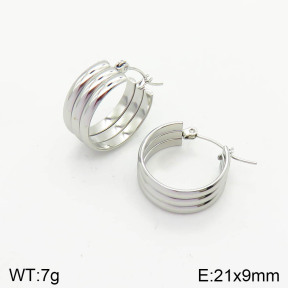 Stainless Steel Earrings  2E2002819aaho-740