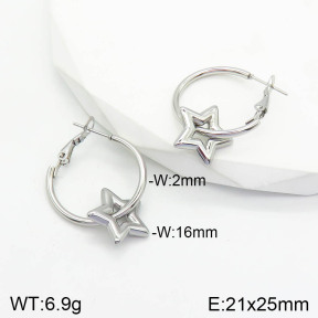Stainless Steel Earrings  2E2002821aaik-740