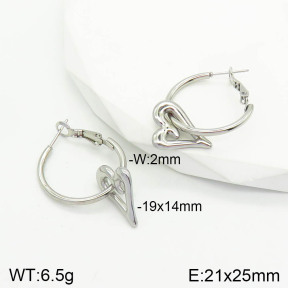 Stainless Steel Earrings  2E2002822aaik-740