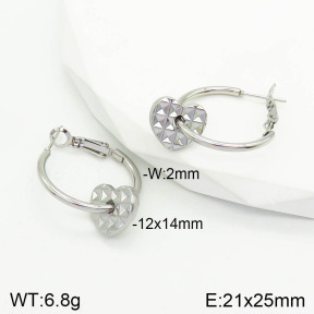 Stainless Steel Earrings  2E2002823vaii-740