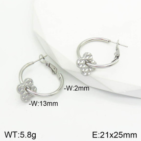 Stainless Steel Earrings  2E2002824vaii-740
