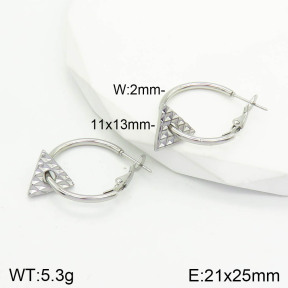 Stainless Steel Earrings  2E2002825vaii-740
