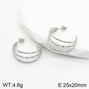 Stainless Steel Earrings  2E2002826aaho-740