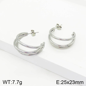Stainless Steel Earrings  2E2002827aaho-740