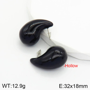 Stainless Steel Earrings  2E3001756vbnl-475