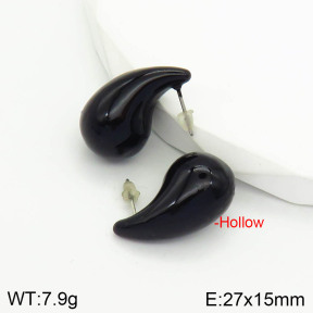 Stainless Steel Earrings  2E3001762vbnl-475