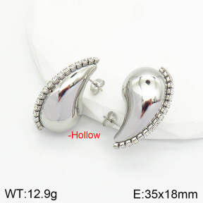Stainless Steel Earrings  2E4002811vbpb-475