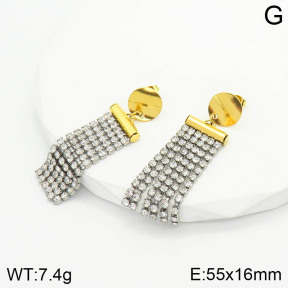 Stainless Steel Earrings  2E4002815ahjb-666
