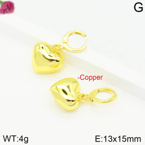 Fashion Copper Earrings  F2E200557bbov-J111
