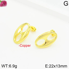Fashion Copper Earrings  F2E200558bbov-J111