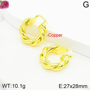 Fashion Copper Earrings  F2E200577vbpb-J111