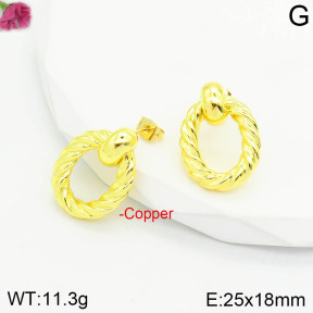 Fashion Copper Earrings  F2E200584vbpb-J111