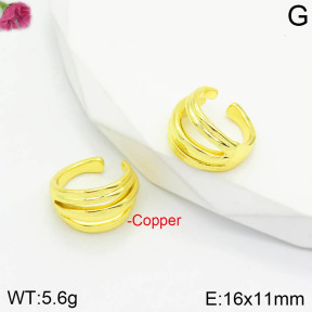 Fashion Copper Earrings  F2E200605vbnb-J111