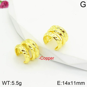 Fashion Copper Earrings  F2E200607bbov-J111