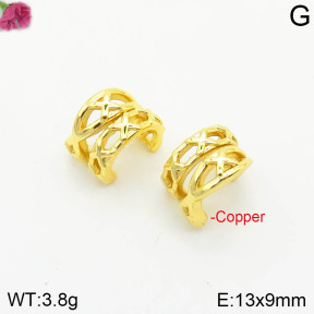 Fashion Copper Earrings  F2E200622vbnb-J111