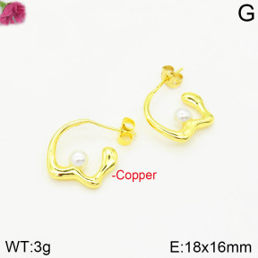 Fashion Copper Earrings  F2E300551vbpb-J111