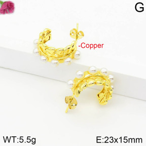 Fashion Copper Earrings  F2E300552vbpb-J111