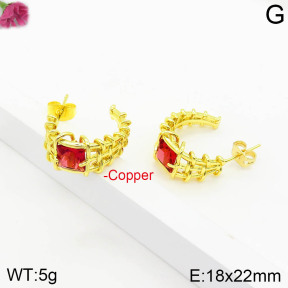 Fashion Copper Earrings  F2E401091vbpb-J111