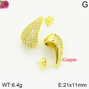 Fashion Copper Earrings  F2E401096bhia-J111
