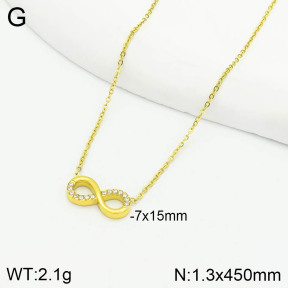 Stainless Steel Necklace  2N4002447bbov-355