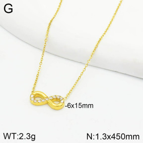 Stainless Steel Necklace  2N4002450bbov-355