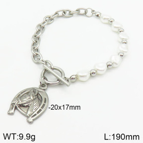 Stainless Steel Bracelet  2B3002703bhia-377
