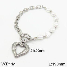 Stainless Steel Bracelet  2B3002704bhia-377
