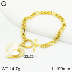 Stainless Steel Bracelet  2B3002727bhva-354