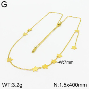 Stainless Steel Necklace  2N2003614vbpb-355