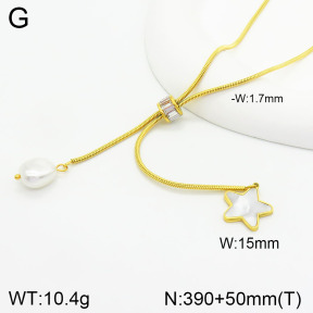 Stainless Steel Necklace  2N3001385vhha-669