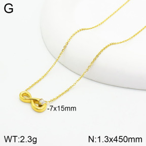 Stainless Steel Necklace  2N4002461vbnb-355
