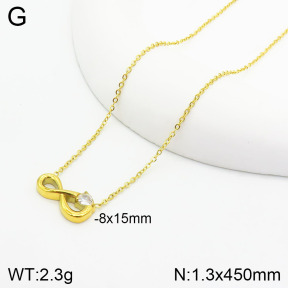 Stainless Steel Necklace  2N4002464vbnb-355