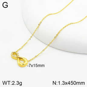Stainless Steel Necklace  2N4002466vbnl-355