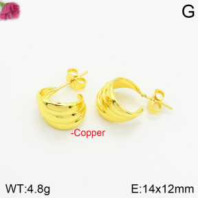 Fashion Copper Earrings  F2E200628vbnb-J48
