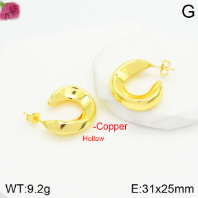 Fashion Copper Earrings  F2E200634bbov-J48