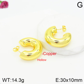 Fashion Copper Earrings  F2E200635vbpb-J48