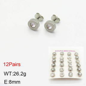 Stainless Steel Earrings  2E4002818bhia-465